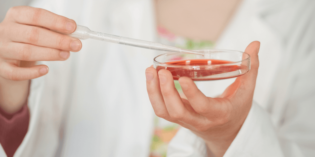 5 Kitchen Science Experiments For Kids | Xtrema Cookware